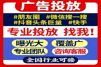 SEM托管公司案例分析：实战技巧全解析